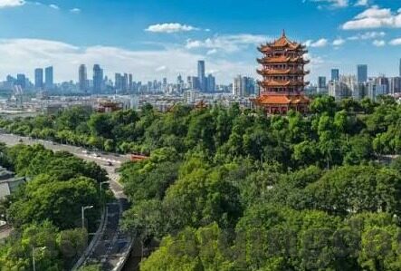 98碰碰碰人妻无码视频-98碰碰碰，人妻无码视频的背后与网络伦理的反思