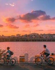 重庆大象传媒有限公司-重庆大象传媒，创新与传承并驱的传媒新势力