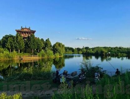 台湾麻豆传媒-色情枷锁，台湾麻豆传媒现象的沉思